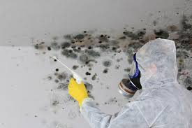 Best Asbestos and Lead Testing During Mold Inspection  in Hartley, IA